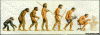 evolution of man.gif