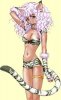 janis the white tiger.jpg