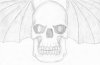 wskull.jpg