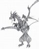 dragon.jpg