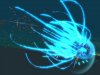 zoe2_12.jpg