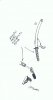 sword gun.jpg