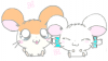 hamtarobijouhappy.png