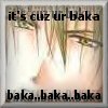 cuzurbaka.jpg