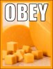 obeythecheese.jpg