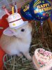 Birthday Star2.jpg