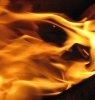 Calcifer1.jpg