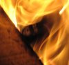 Calcifer2.jpg