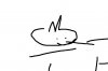 cat.JPG