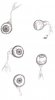 eyeballs.jpg