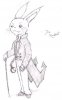 Therabbit.jpg