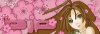 sakuramanybackground7.jpg