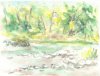 Landscape4.jpg