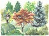Landscape3.jpg