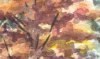 Landscape3_5.jpg