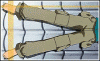 kyouFC.gif